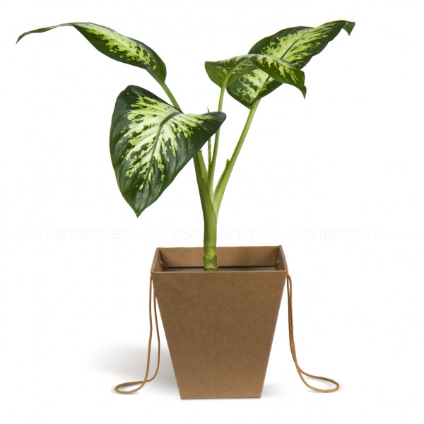 Caja kraft de almacenamiento y transporte de flores