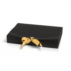 Caja negra 34 x 25 x 5 cm