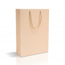 Bolsa de papel crema 35x12x40 cm Vertical