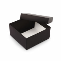 Caja negra 20 x 20 x 10 cm
