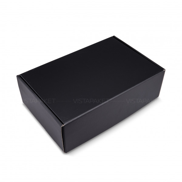 Caja negra 36 x 24 x 11 cm