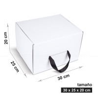 Caja blanca 30 x 25 x 20 cm