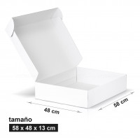 Caja 58 x 48 x 13 cm